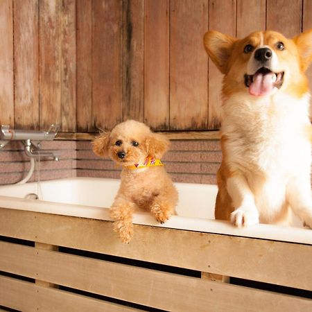 Izumigo Takayama Dog Paradise Hotel Exterior foto