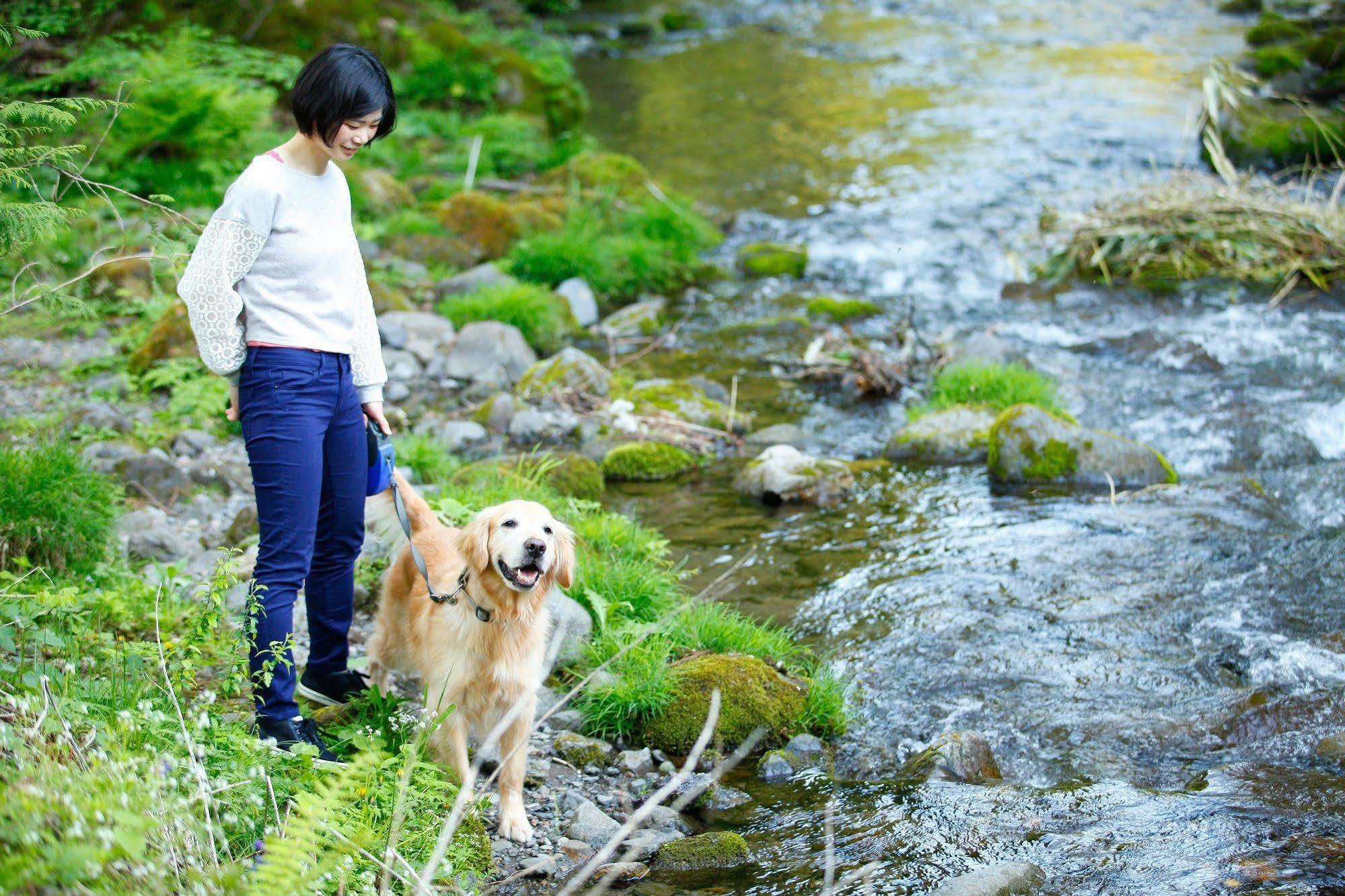 Izumigo Takayama Dog Paradise Hotel Exterior foto